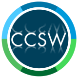 Custom Computer Services (Wales) Ltd